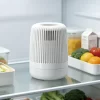 Refrigerator deodorizer beads